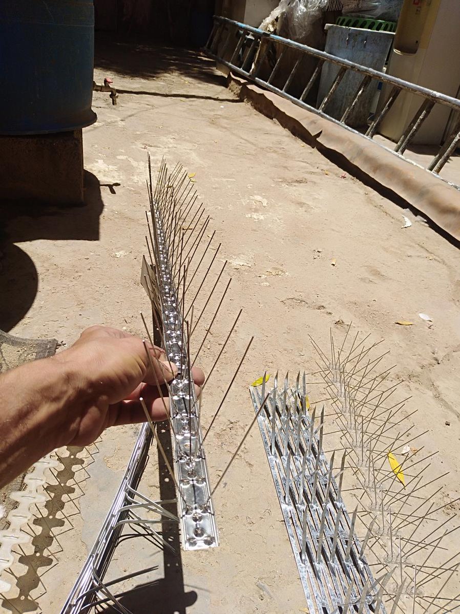 مؤسسة طارد حمام شرق الرياض